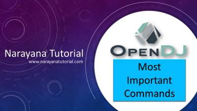 OpenDJ Commands
