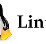 delete files in linux
