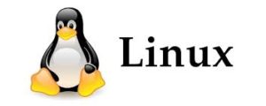 delete files in linux
