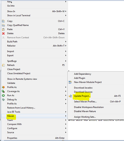 Maven Update Project