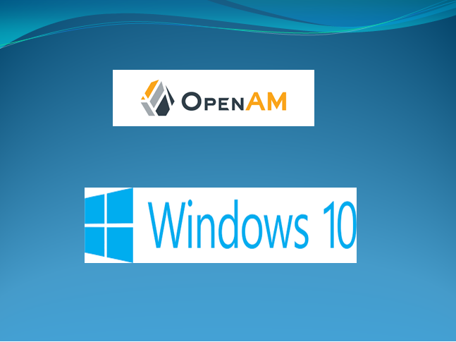 ForgeRock OpenAM Installation on Windows