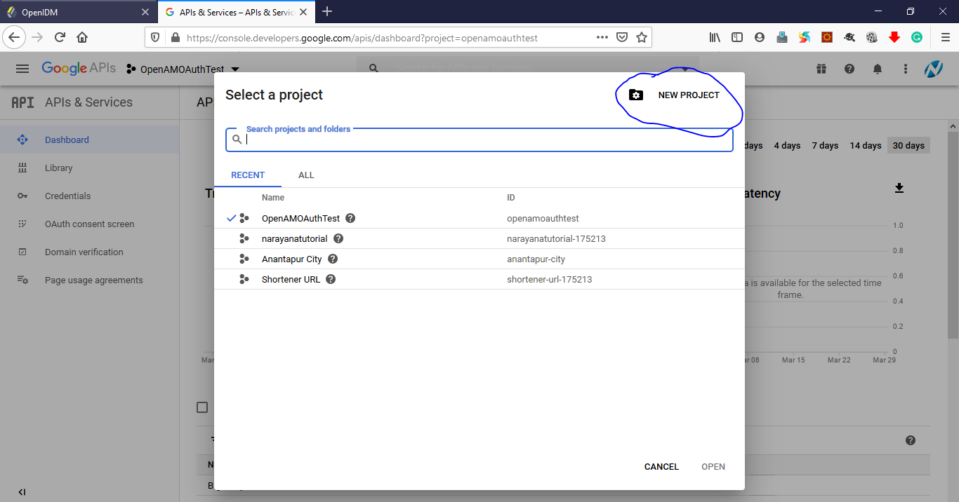 Console Google Developer Create New Project
