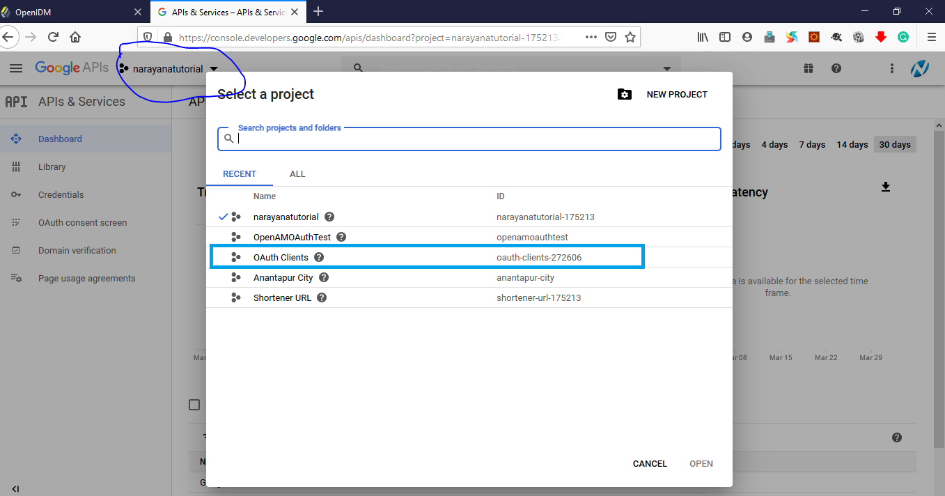 Console Google Developer OAuth Client Project Select