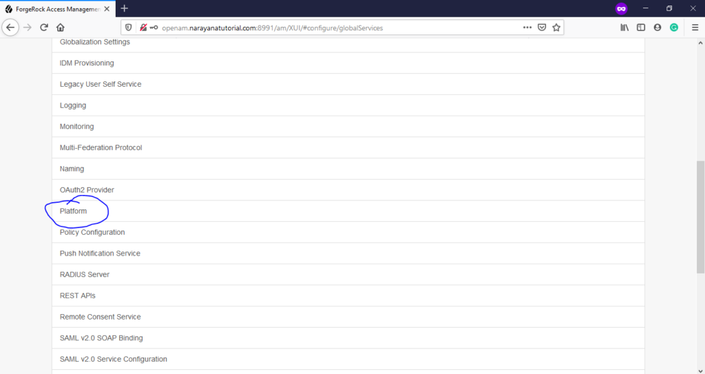 OpenAM Realm DNS Configuration 2