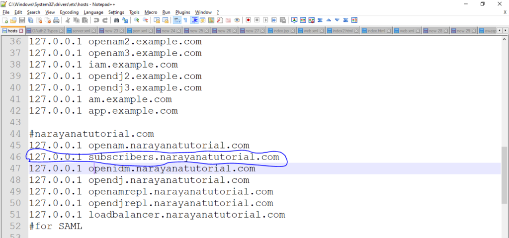 OpenAM Subscriber Realm DNS Configuration in host file