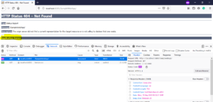 Tomcat Information Disabled in Error Page