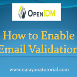 How-to-Enable-Email-Validation